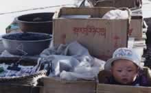  Kartonkind China &copy; Kilian Tribbeck Redaktionsservice SEO Text Translation Munich Übersetzungsservice Englisch München